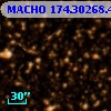 MACHO 174.30268.441