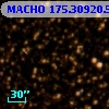MACHO 175.30920.52