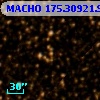 MACHO 175.30921.95