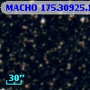 MACHO 175.30925.124
