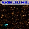 MACHO 175.31047.130