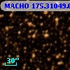 MACHO 175.31049.69