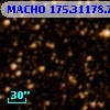 MACHO 175.31178.72