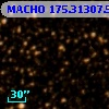 MACHO 175.31307.552