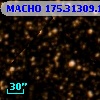 MACHO 175.31309.154