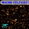 MACHO 175.31567.393