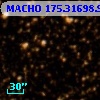 MACHO 175.31698.99