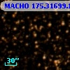 MACHO 175.31699.126