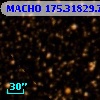 MACHO 175.31829.78