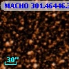 MACHO 301.46446.358