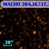 MACHO 304.36237.397