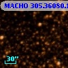 MACHO 305.36080.137
