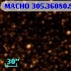 MACHO 305.36080.834