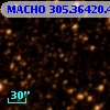 MACHO 305.36420.424