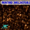 MACHO 305.36750.1366