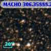MACHO 306.35888.785
