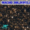 MACHO 306.36055.186