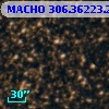 MACHO 306.36223.233