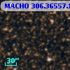 MACHO 306.36557.1423