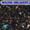 MACHO 306.36897.302