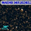 MACHO 307.35202.388