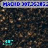 MACHO 307.35205.298
