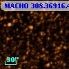MACHO 308.36916.498