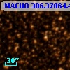 MACHO 308.37084.497