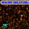 MACHO 308.37590.1217