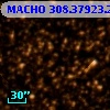 MACHO 308.37923.202