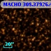 MACHO 308.37926.429