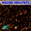 MACHO 309.37075.343