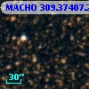 MACHO 309.37407.224