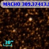 MACHO 309.37413.169