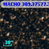 MACHO 309.37577.327