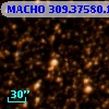 MACHO 309.37580.1120