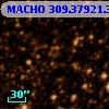 MACHO 309.37921.384