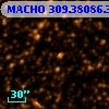 MACHO 309.38086.343