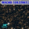 MACHO 310.37067.372