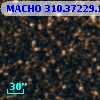 MACHO 310.37229.1203