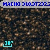 MACHO 310.37232.204