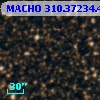 MACHO 310.37234.4110