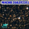 MACHO 310.37237.120