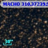 MACHO 310.37239.98
