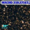 MACHO 310.37567.210