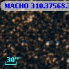MACHO 310.37568.305