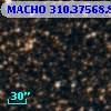MACHO 310.37568.878