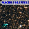 MACHO 310.37569.395