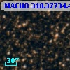MACHO 310.37734.408