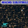 MACHO 310.37901.560
